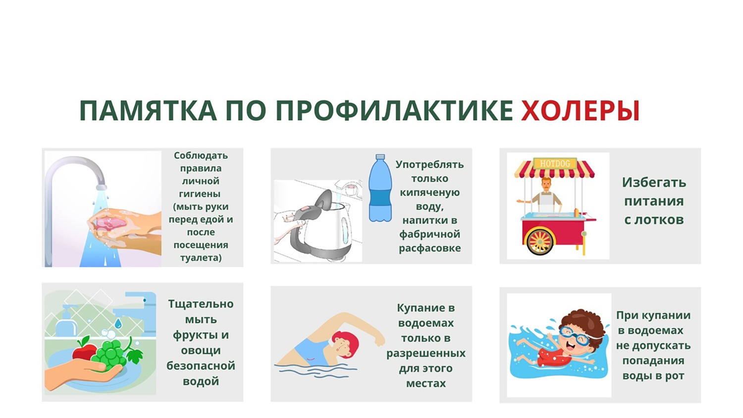   Профилактика холеры.