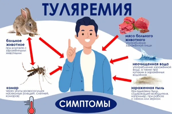 Туляремия, листериоз